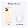 12 Pro Max Gold box Apple iPhone 12 Pro Max, Single SIM, 256GB, Gold GetWired Tronics